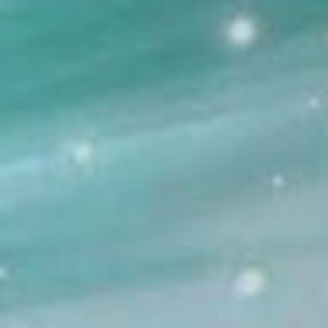 Meet your Posher, Skyler